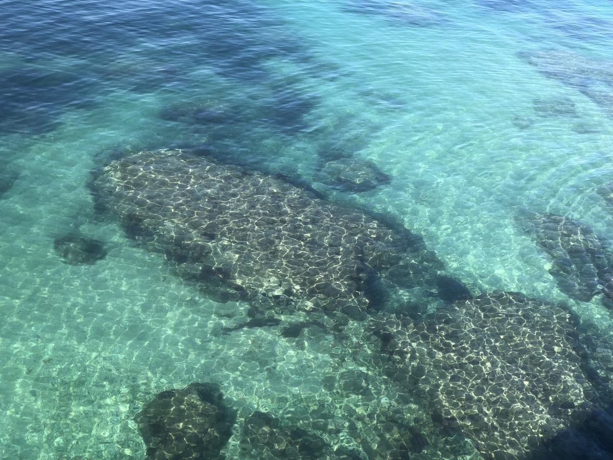 B&B Ortigia Sea View Συρακούσες Εξωτερικό φωτογραφία